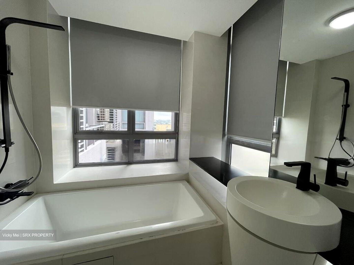 Ascentia Sky (D3), Condominium #484537671